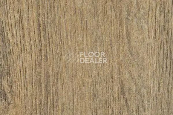 Виниловая плитка ПВХ FORBO Effekta Intense 40415 P Classic Fine Oak INT фото 1 | FLOORDEALER